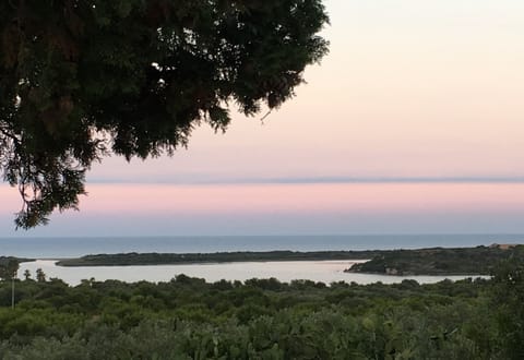 View from the terrace.