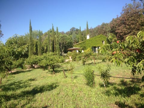 View from peach orchard 