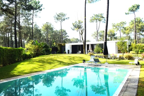 Pool with sunbathing area