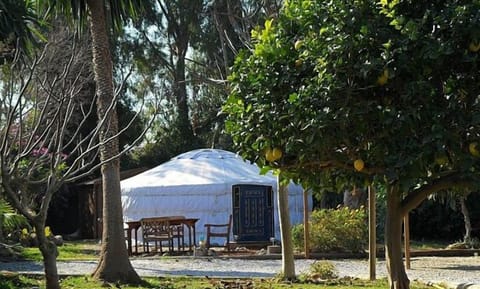 Glamping In Real Spain!