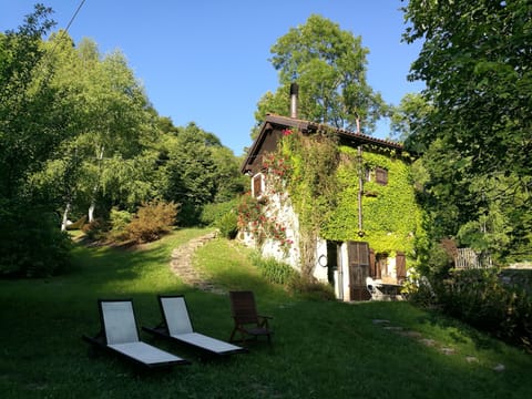 The mill