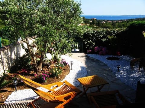 Terrace / Balcony