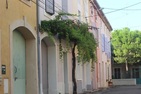 7 rue Marceau with the grape vine
