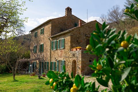 Facade of the house
