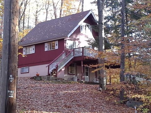 Beautiful Fall Foliage