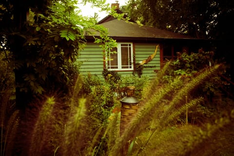 View from the garden