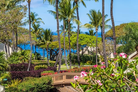 View from the Main Lanai