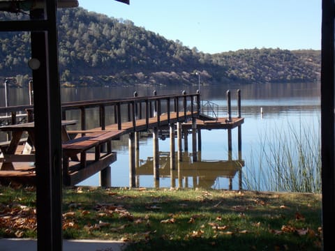 View of lake from home.