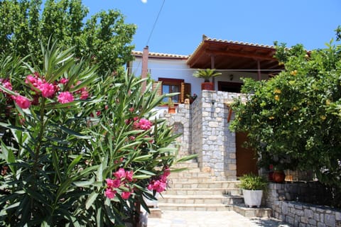 Main view