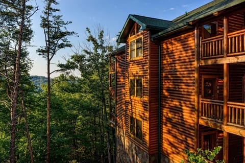 Beautiful Cabins