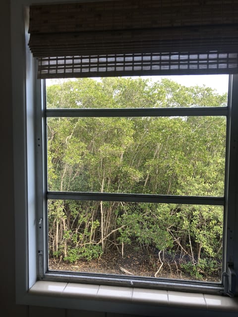 Tree views from all windows 
Great for bird watching ! Bring your binoculars
