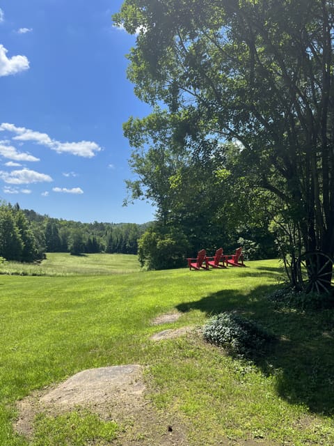 View from front lawn