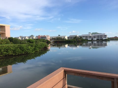 View of intercoastal from dock on very calm day. 