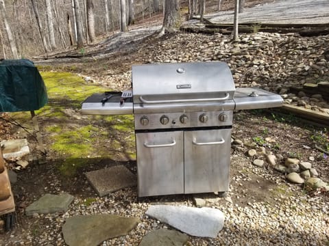 Gas Grill