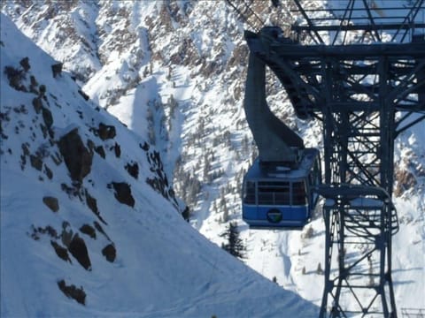 125 Passenger Tram, right out your door