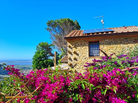 Rustico la Tinaia in the garden