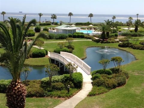 View from Balcony