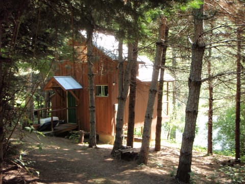 The Miner's Cabin