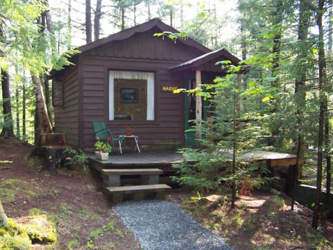 Adirondack Cabin for two