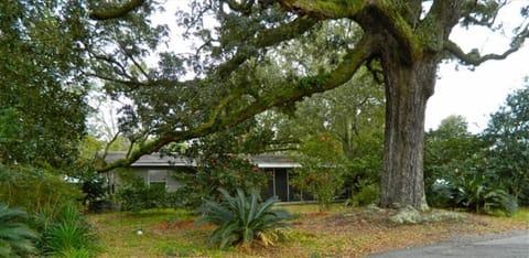 Cottage exterior
