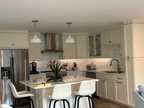 Kitchen Area with Island. 