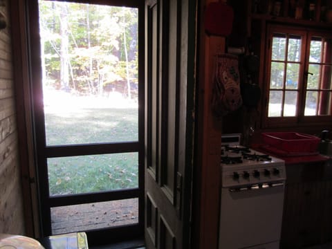 And a view of the woods.