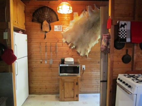 Full size microwave and fridge.