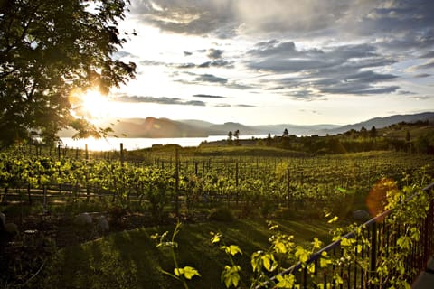 Looking west toward Lake Okanagan 