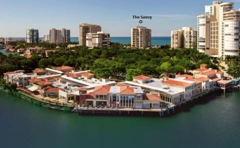 The Savoy and
Venetian Village (Restaurants, shopping, hairdresser, etc...