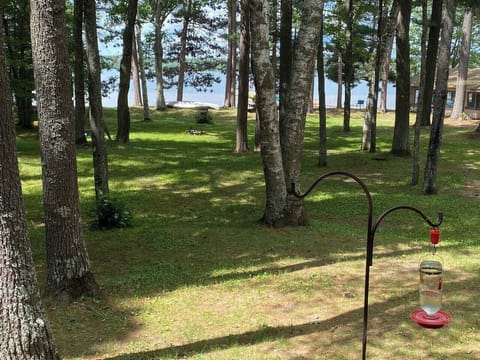 View of the lake from Spruce