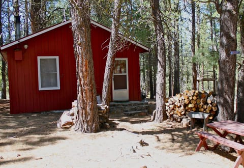 "Squirrelville" and tree fort