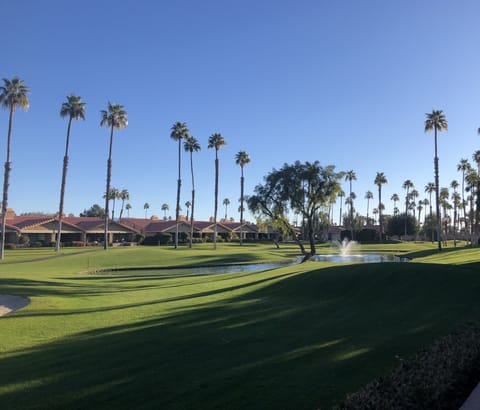 Patio view