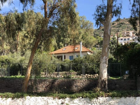 VIEW OF THE HOUSE FROM THE SEA
