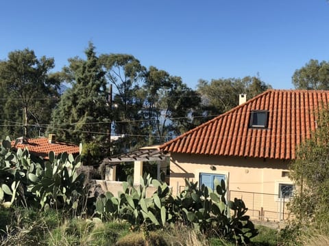 BACK VIEW-BACK YARD-BBQ