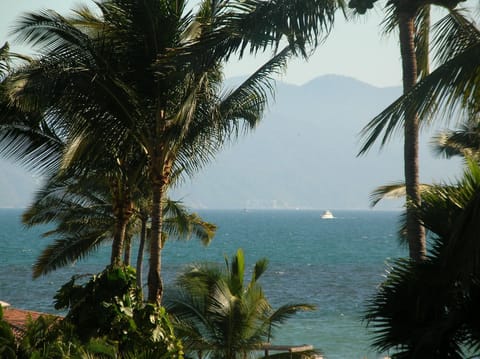 OCEAN VIEW FROM BALCONY