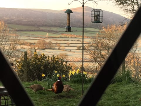 Crook Peak,on the Mendip Hills