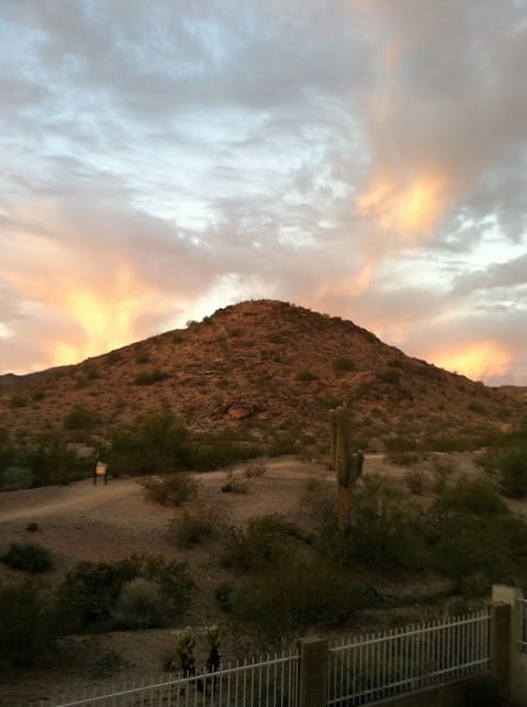 View from the deck

