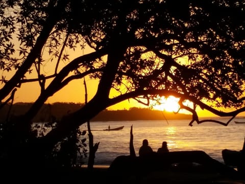 Beautiful Sunset