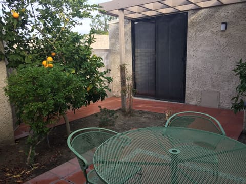 Our spacious patio. The dining room and second bedroom open directly onto it.
