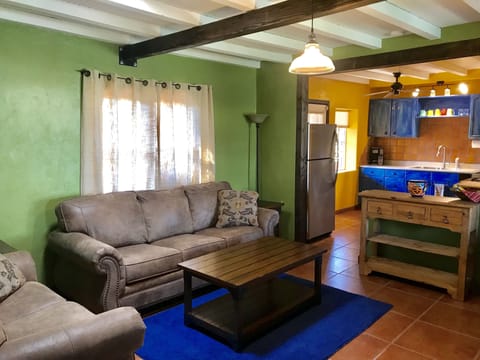 Living room w/ fold out couch, TV and electric fireplace