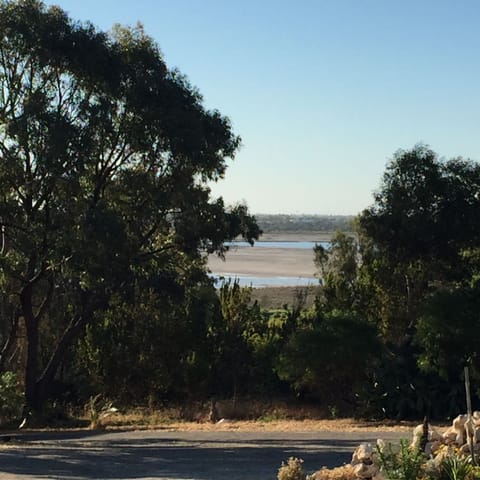 A little flower farm Baldivis Accommodation lake view
rose social baldivis