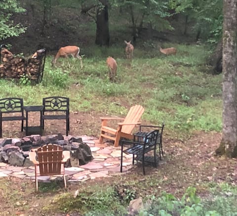 Private Fire Pit if you dont mind sharing with our friends