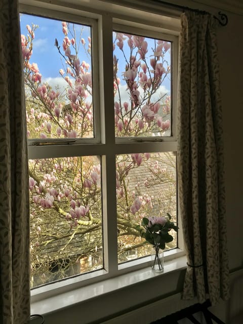 View from room 6 window 