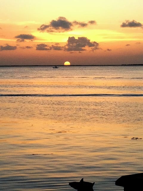 Wouldn't you love to be here?