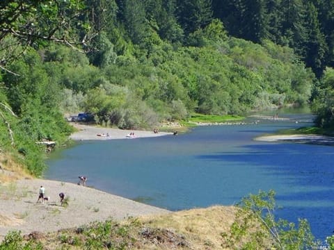 Beaches a short swim across from Murphy's Circle Cottages.
