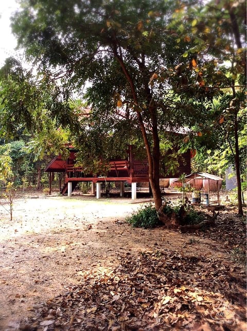 Typical Homestay Among Nature !!