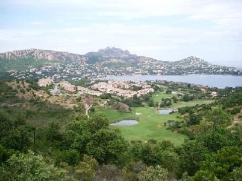 Overview