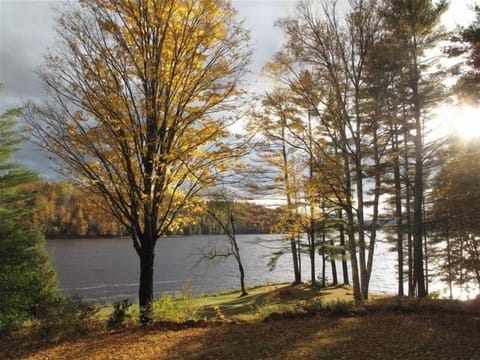 View of the lawn and river from the porch and living room.