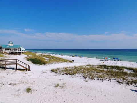 The dunes before our wonderful beach.