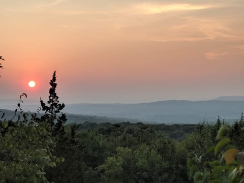 View from porch.